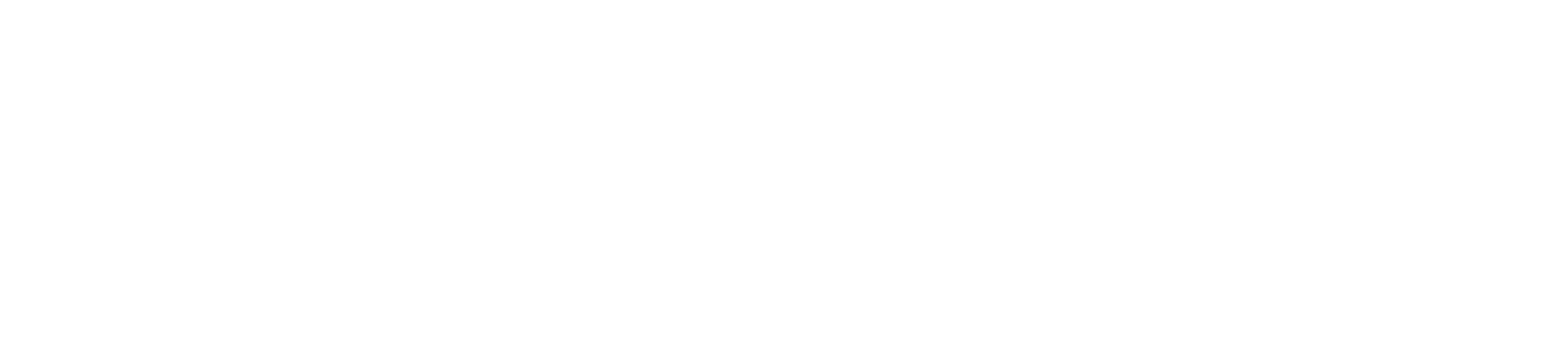 visdevstudio.com